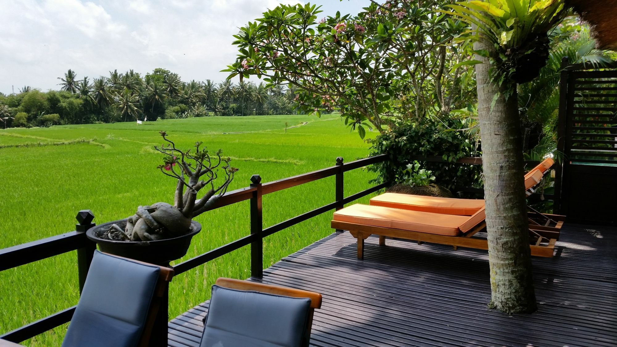 Lodtunduh Sari Hotell Ubud Eksteriør bilde