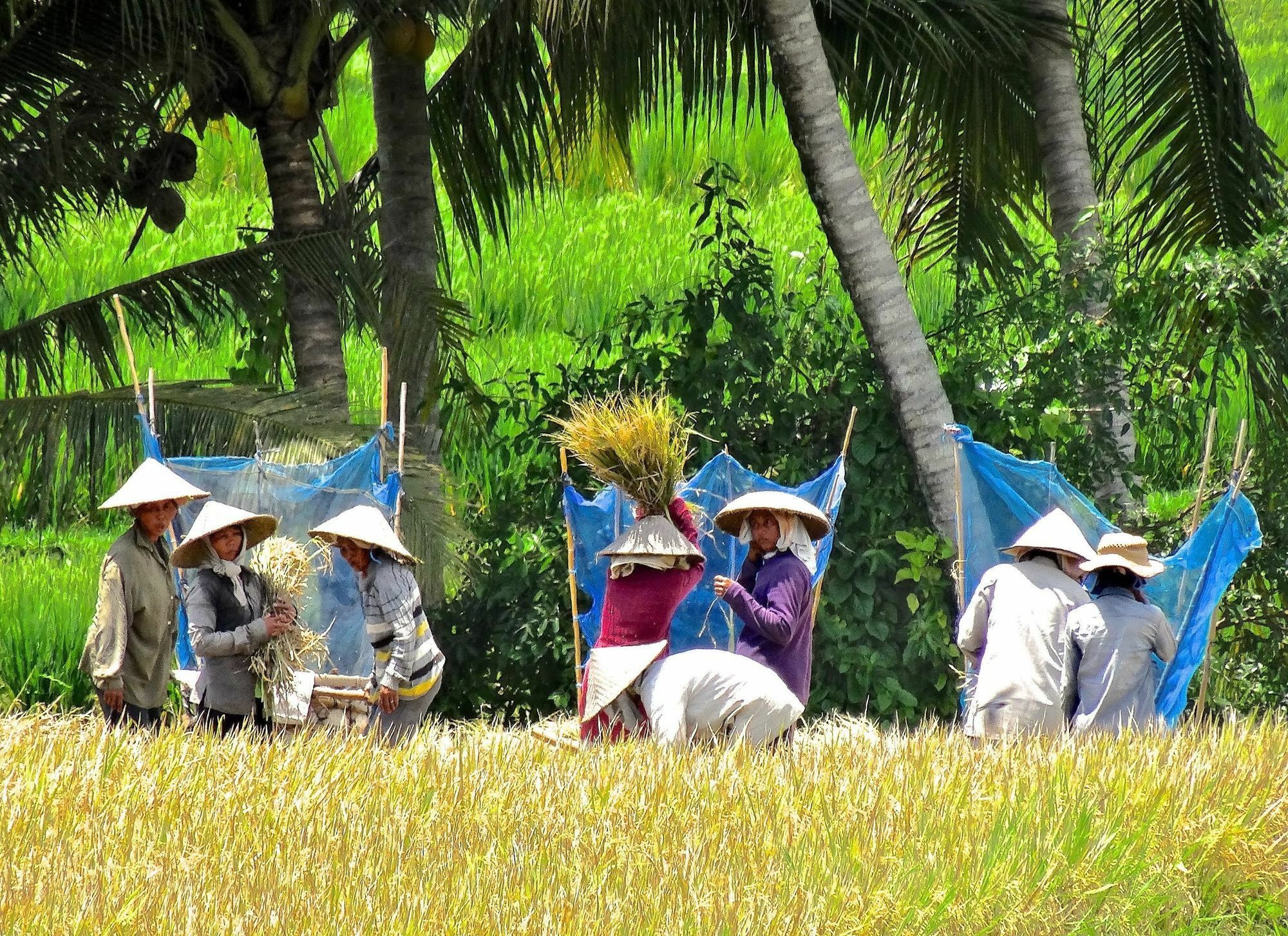 Lodtunduh Sari Hotell Ubud Eksteriør bilde