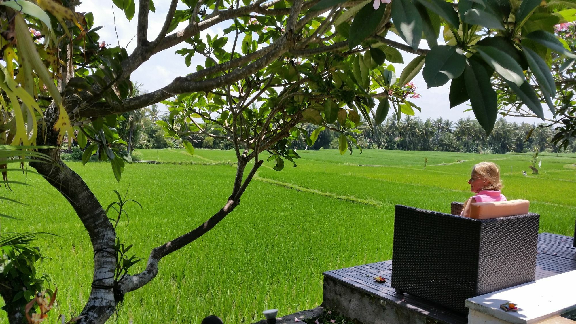 Lodtunduh Sari Hotell Ubud Eksteriør bilde