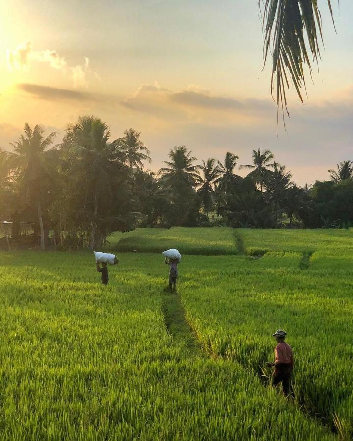 Lodtunduh Sari Hotell Ubud Eksteriør bilde